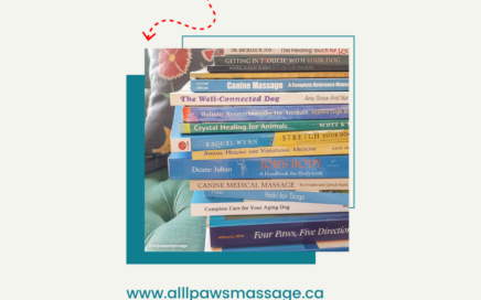 Stack of Books showing Animal Massage Book Recommendations