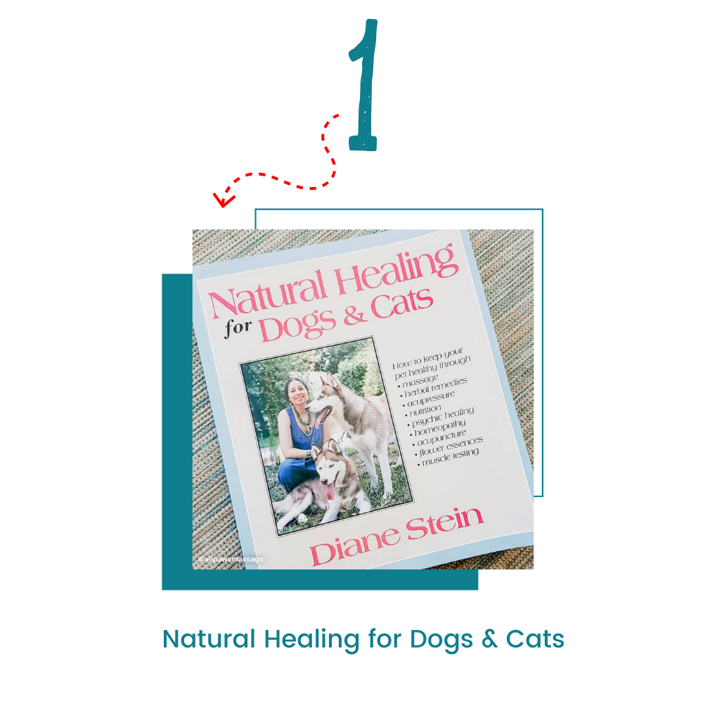Natural Healing for Cats & Dogs by Diane Stein