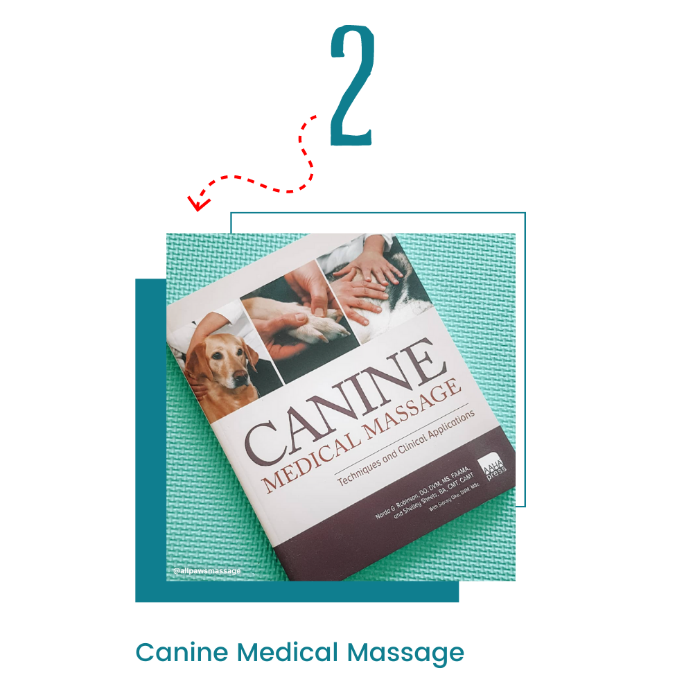 Canine Medical Massage by Narda G Robinson