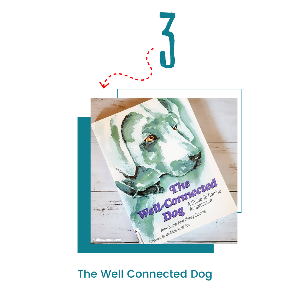 The Well Connected Dog by Amy Snow & Nancy Zidonis 