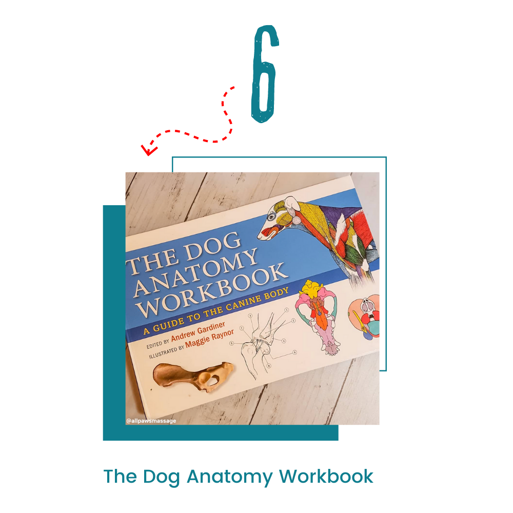 The Dog Anatomy Workbook by Andrew Gardiner 