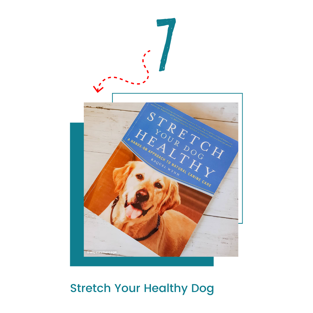 Stretch Your Dog Healthy by Raquell Wynn 