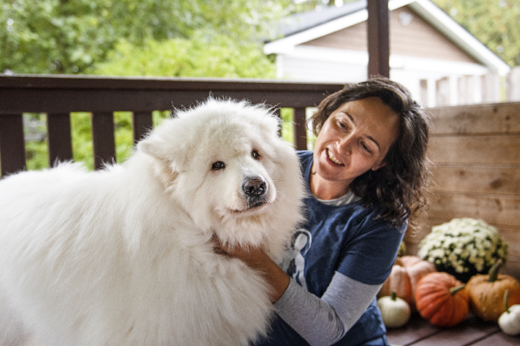 Animal Massage Specialist working with dog