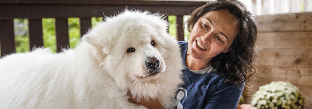 Animal Massage Specialist working with dog