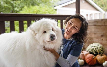 Animal Massage Specialist working with dog