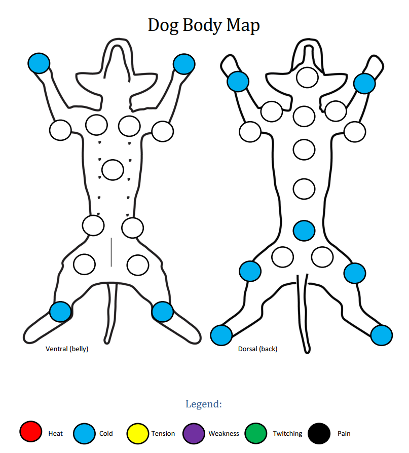 Dog body map showing cold patterns.