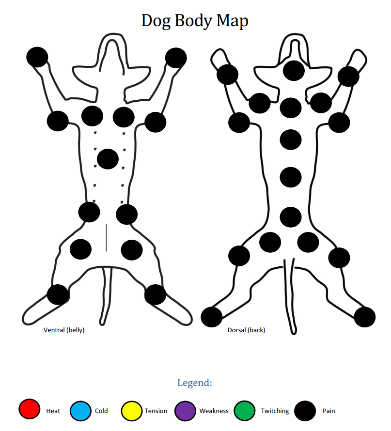 Dog body map showing pain patterns.